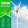 1000W 5 lames 12V 24V 48V Énergie libre Énergie éolienne Énergie petite éolienne Générateur MPPT Contrôleur pour usage domestique