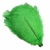 Green en gros plumes d'autruche 15-75 cm 6-30 pouces DIY Carnival décor décorations de mariage naturels aux plumes de plumes d'autruche naturelles