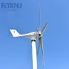 China Factory 4000W 3/5ブレード風力発電機3フェーズAC 12V 24V 48V Wind Turbine with MPPT Wind Controller