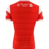 2024 Louth Gaa Player Fit 2 Stripe Home Jersey