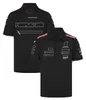 2024 F1 Team Racing T-shirt Formule 1 Driver T-shirt Polo shirt Nieuwe seizoensauto fans Casual Jersey Tops Summer Mens Clothing T-shirt