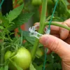 Nouveau 50 / 100pcs Trellis en plastique Clip de tomates Soutiens Connects Plants Vines Cages Greenhouse Veggie Garden Plant Plant Clip