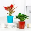 Plantador de rega auto -rega Mini Projeto redondo, suculento Plant Pot Pot Garden Indoor Home Decorative Pot Garden Supplies