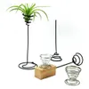 Mini Dekorativ metallluft Plant Pot Stand Container Holder Balcony Decor for Airplants Tillandsia Garden Supplies