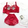 Women Bra Set Embroidered Underwear Female Bralette Sexy Lingerie Bra And Briefs Set Intimates B C D E F G 34 36 38 40 42 44 46