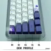 Tillbehör 60 och 100 procent KeyCaps PBT OEM -profil för körsbär MX Mekaniskt tangentbord Doubleshot Söt vit lila bakgrundsbelysta tangentkåpor