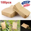 Kraft Paper Seed Welves Pacchetti Whinves Wake Garden Caricamento per pianta frutta sacchetto di carta kraft cibo tè piccolo regalo