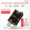 Versterker Mono 100W TWS TPA3116D2 Bluetooth 5.1 Audio -versterkerbordmodule DC724V Power AMP TPA3116 USB MP3/WMA/WAV/FLAC/APE