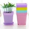 10pcs mini quadrado plástico planta vaso de flores em casa decoração plantador colorido com panelas bandejas verdes vegetais artificiais wyq