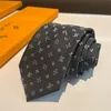 Bordado de diseñador Bordado Tada de hombres Moda Elegante Silk Tie Luxury Corbalo F Carta Cravates Men regalo nn