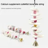 Other Bird Supplies 2/3PCS Cuttlefish Bone Skewers Vibrant 11-20cm Cage Toy Household Millstone Non-toxic Volcanic Stone Molar