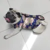 Abiti da cane impermeabili per cani di piccola taglia inverno campola per cagnolini da cagnolina vestito per cani grandi cuccioli di pug bulldog bulldog giacca Chihuahua