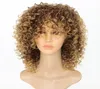 Perruques bouclées coquines pour femmes noires Couleur de cheveux synthétique blonde T2730 Blonde Afro Wig 16 pouces9705839