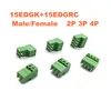 10pcs Pitch 3,81 mm Plug-in PCB Terminal Block Block Angle de droite 2/3 / 4P Male / femelle Morsettiera Connecteurs Bornier