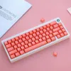 Accesorios Echome Orange Jade TEMA TECLO CONJUNTO ABS Capa de perfil de perfil de cerezo translúcido de doble capa para teclado mecánico