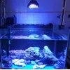 Aquário de aquário LED LED LED LED PET PEIX PLANT TANQUE CROVE BULB 54W PARA ALGUELA DE CORAL DE CORES MARINHO DE ÁGUA SALTA ALGAS