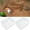 Reptile Egg Tray Snake Lizard Egg Hatching Incubator Box Gecko Dedicated Hatcher Device Tortoise Turtle Incubator Supplies