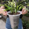 Meshpot Double Walls Excellent Drainage Hole Orchid Pot with Root Controlling Slot Plastic Flower Planter