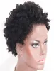 İnsan saç perukları Hint Afro Kinky Kıvırcık saç perukları Kısa Remy Saç Tam Dantelli Peruklar Straps2923445