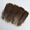 20pcs / lot Filan de dinde en plumes aigle naturel pour artisan