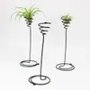 Mini Dekorativ metallluft Plant Pot Stand Container Holder Balcony Decor for Airplants Tillandsia Garden Supplies