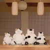 Poux en peluche nouvellement arrivée 35 cm Japonais Kawaii Soft Soft Cat Toy rempli de poupées d'animaux Coup Chubby Cat Cat Oreiller Home Decoration J240410