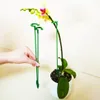 10pcs stand de plante phalaenopsis orchidée fleur stand spécial stand à la maison fournitures de jardinage fleur tige de jardin en pot fixe