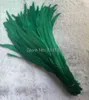 Rooster Tail Feather 1200pcs accessoires de vêtements diy bijoux bijoux têtes de port chapeaux