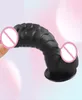 Massage Color Dinosaur Scales Penis con tazza di aspirazione Dildo femmina per adulti sexy sexy Strapon di cazzo strapon grande negozio di cazzi non vibrato6386682