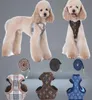 Arnês de cães de grife e treliças conjuntos de padrões clássicos colares colares de coleira de malha respirável para cães pequenos Poodle schnau4548941