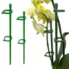 10/15PCS Plant Support Stakes Adjustable Garden Flower Support Stake Plant Cage Support Rings for Flower Tomatoes Vegetable