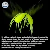 TSURINOYA 50mm 3g 10pcs Soft Fishing Lure FAERIE Worm Artificial Silicone Soft Baits For Bass Trout Ajing Fishing Rig Swimbait