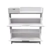 Modern 2-Layer Shoe Rack For Household Use With Ultra-Thin Foldable Shoe Storage Cabinet At The Entrance