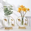 Vasi Metal Frame Tubo Vaso Round/Square/Exagonal Glass Terrarium Creative Geometric Decorative