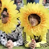 Decorative Flowers Yellow Easy-to-Wear Headgear For Dance Parties Sunflowers Style Interesting And Funny Polyester