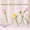 Vases Glass Bud Vase Set Of 12 Clear Small In Bulk For Flowers. Modern Hand Blown Cylinder