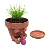 Вазы сочный горшок Mini Mini Flowerpot выращивать суккуленты