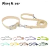 Colliers de chien Set Collar Lash Pet Pvc Cat Lashes for Small Medium Big Outdoor Walk