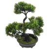 Decorative Flowers Artificial Potted Cutainsforbedroom Small Desk Welcome Song Decoration Living Bonsai Tree Fake Plants Abs