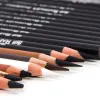 Schizzo matite a carbone Pencil da disegno professionale 2H-14B per abbracciare le forniture d'arte di cartoleria di pittura professionale