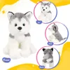 30cm Husky Doll Black White Dog Toys Jouets mignons Oreilleurs de lancer doux Pp Coton High Quality Farmed Animaux pour Girl Birthday Gift 240411