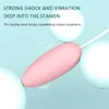 Puissants vibrateurs GSPOT clitoraux de la ventouse Stimulateurs de stimulateurs de stimulateurs de stimulateurs de stimulation