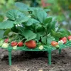 Balcon de fraises en plastique rond Balcone cultiver les légumes