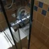 Alüminyum alaşım kapı kolu 1.1 "Dia tek cam kapı düğmesi banyo duş dolabı kolu w/ vidalı ev donanımı