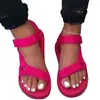 صندل أنثى 7988 أحذية غير رسمية مريحة 2024 الموضة الصيفية في الهواء الطلق للسيدات الصلبة المفتوحة مقصورة على شاطئ النساء الرومانيات منخفضة الكعب