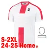 24 25 Jerseys de futebol da Geórgia 2024 2025 Equipe Nacional de Futebol Kvaratskhelia Zivzivadze Davitashvili Camisas de futebol Chakvetadze Kvilitaia Men Uniformes