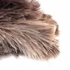 32 cm Autruche Brosse de galets de plumes naturels avec poignée en bois outil de nettoyage antistatique outils de nettoyeur de poussière meublement meurtrier