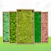 Cheap 100/200/500G Hi-Q Grass artificiels Green Immortal Moss Plantes Fake Flower DIY DÉCOR DES PLANTES DE LA MAIS