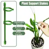 Plan de support de plante 10 pack Clips de plantes à tige unique Boucle Crochet Plant Plant Mur Boucle de boucle