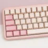 Accessoires 173 KEYS GMK CIRCUS ABS KeyCaps Dubbele schot Cherry KeyCaps Minimalistische roze KeyCap voor MX Switch Gaming Mechanical Toetsenbord